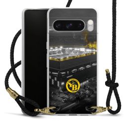 Carry Case Transparent Leather black/gold