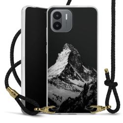 Carry Case Transparent Leather black/gold