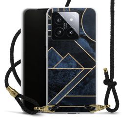 Carry Case Transparent Leather black/gold