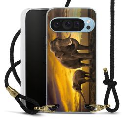 Carry Case Transparent Leather black/gold