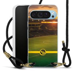 Carry Case Transparent Leather black/gold