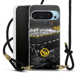 Carry Case Transparent Leather black/gold