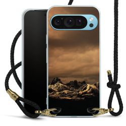 Carry Case Transparent Leather black/gold