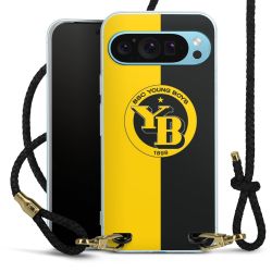 Carry Case Transparent Leather black/gold