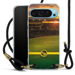 Carry Case Transparent Leather black/gold