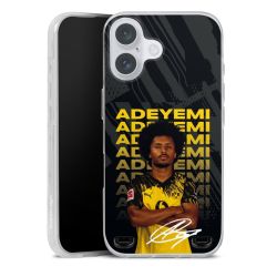 New Carry Case Hülle Transparent