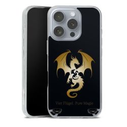 Carry Case Single Transparent