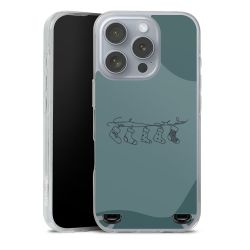 Carry Case Single Transparent