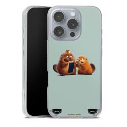 Carry Case Single Transparent