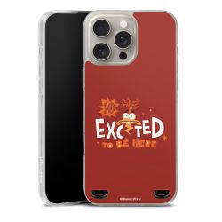 Carry Case Single Transparent