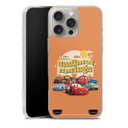 Carry Case Single Transparent