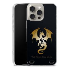 Carry Case Single Transparent