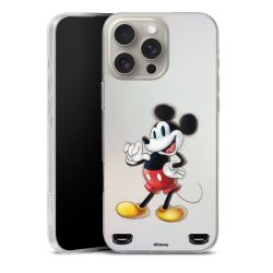 New Carry Case Hülle Transparent