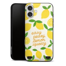 New Carry Case Hülle mattschwarz