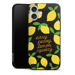 New Carry Case Hülle mattschwarz