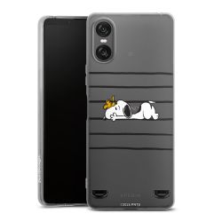 Carry Case Single Transparent