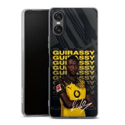 New Carry Case Hülle Transparent