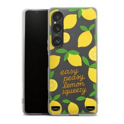 New Carry Case Hülle Transparent