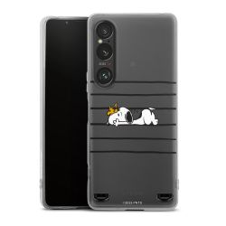 Carry Case Single Transparent