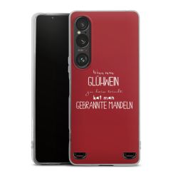 Carry Case Hülle Transparent ohne Band