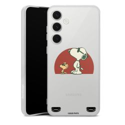 Carry Case Single Transparent