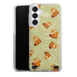 Carry Case Single Transparent