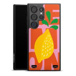 Organic Carry Case Hülle schwarz