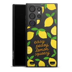 Organic Carry Case Hülle schwarz