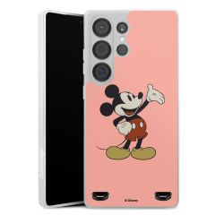 New Carry Case Hülle Transparent