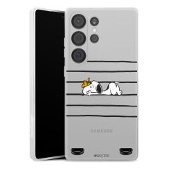 Carry Case Single Transparent