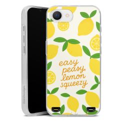 Carry Case Single Transparent