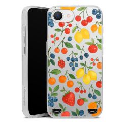 Carry Case Single Transparent