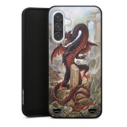 Organic Carry Case Hülle schwarz