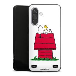 Snoopy & Woodstock