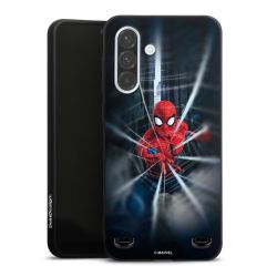 Toile Spider-Man