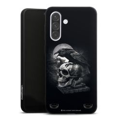 Poe's Raven