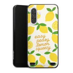 Carry Case Hülle Schwarz ohne Band