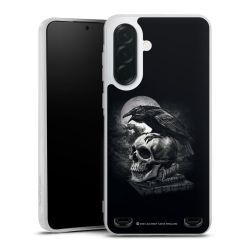 Poe's Raven