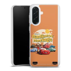 Carry Case Single Transparent