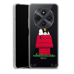 Carry Case Single Transparent