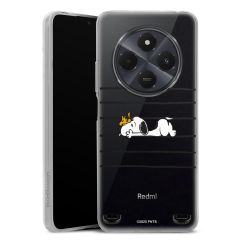 Carry Case Single Transparent