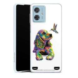 Carry Case Single Transparent