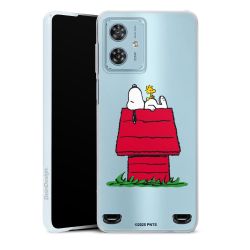 Carry Case Single Transparent