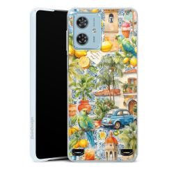 Carry Case Single Transparent