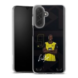 New Carry Case Hülle Transparent