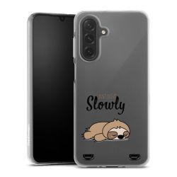 Carry Case Single Transparent