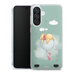 New Carry Case Hülle Transparent