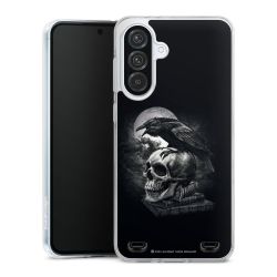 Poe's Raven