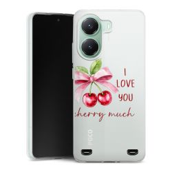 Carry Case Single Transparent