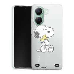 Carry Case Single Transparent